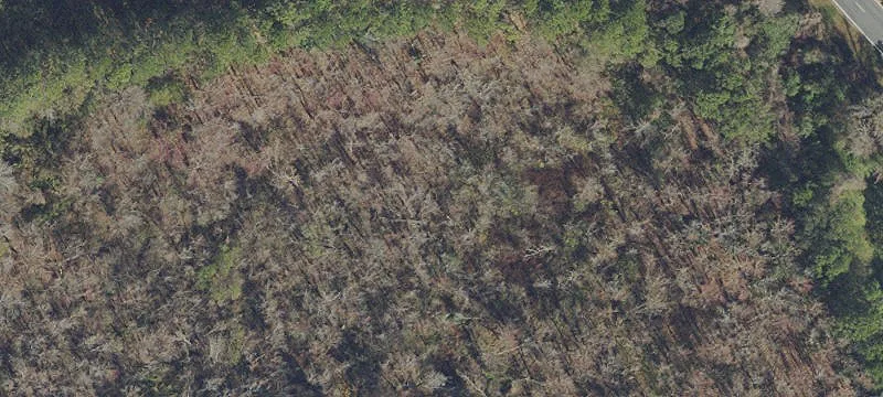 Zephyrhills, FL 33541