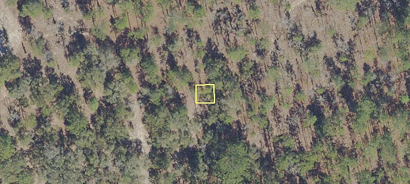108 Birchdale Trl