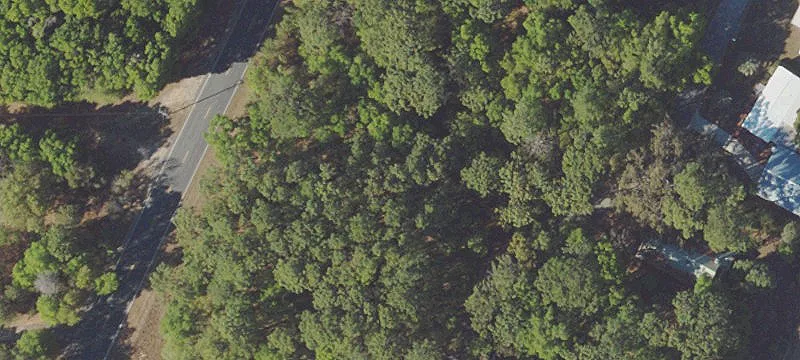 Ocklawaha, FL 32179