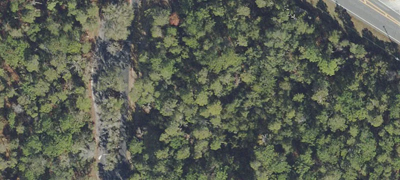 Silver Springs, FL 34488