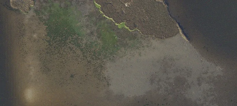 Lynn Haven, FL 32444