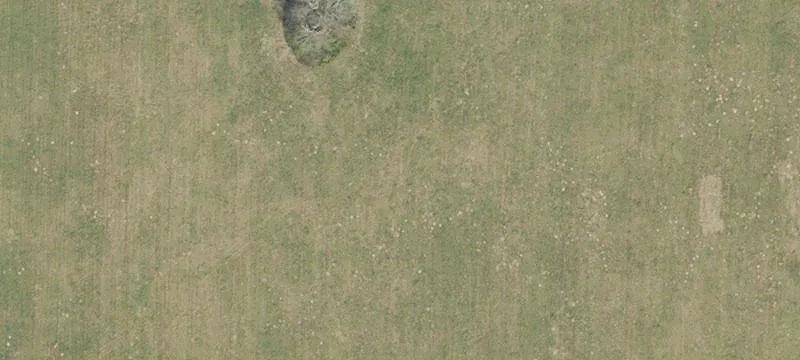 Newberry, FL 32669