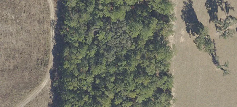 Ocala, FL 34481