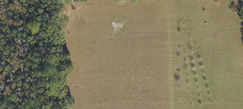 Alachua, FL 32615
