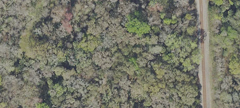 Hawthorne, FL 32640