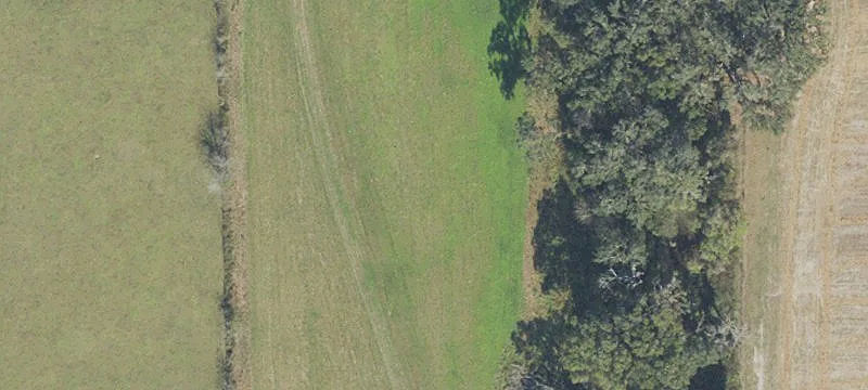 Newberry, FL 32669