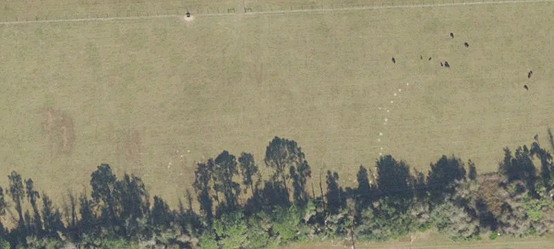 Newberry, FL 32669
