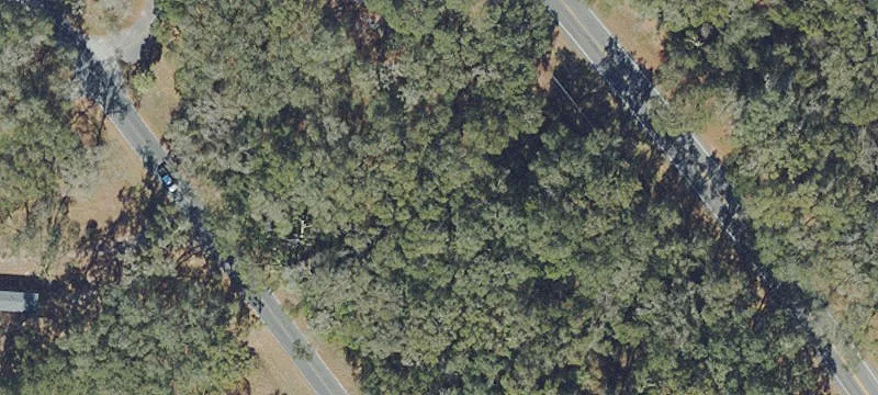 Reddick, FL 32686