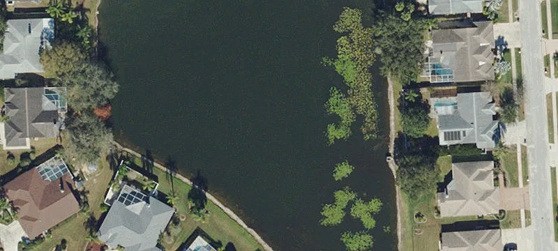 Lutz, FL 33549