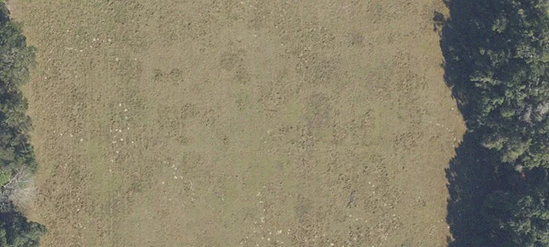 Archer, FL 32618