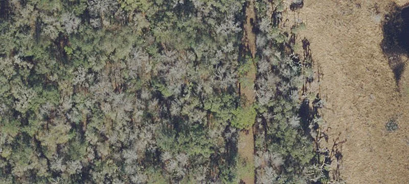 Micanopy, FL 32667