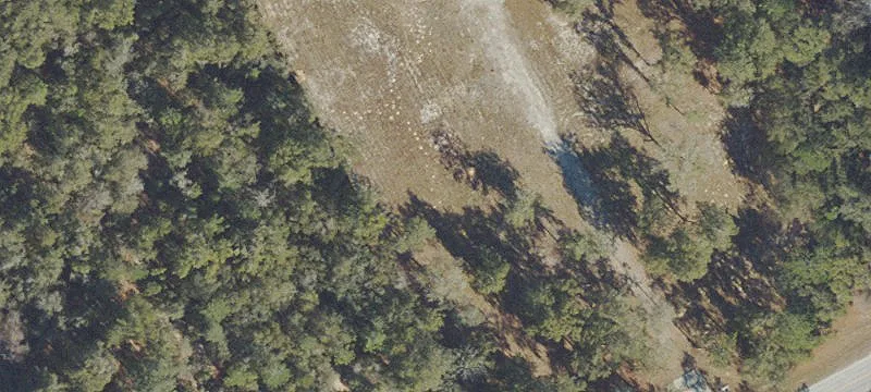 Salt Springs, FL 32134