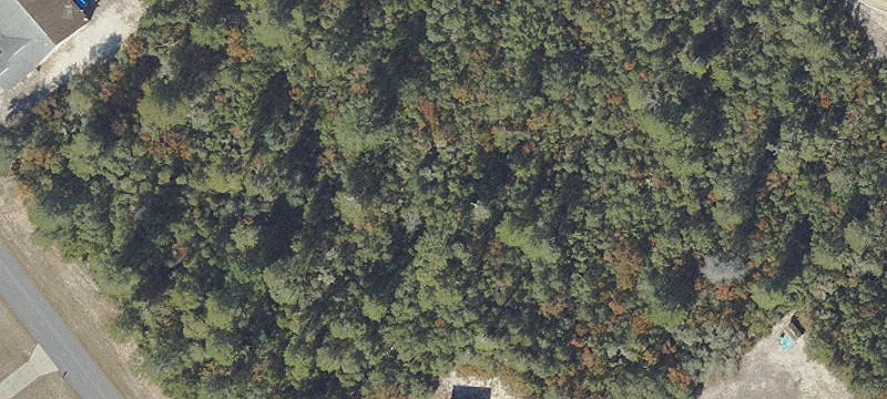 Ocala, FL 34473