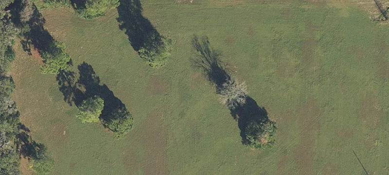 Alachua, FL 32615