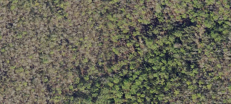 Bonita Springs, FL 34135