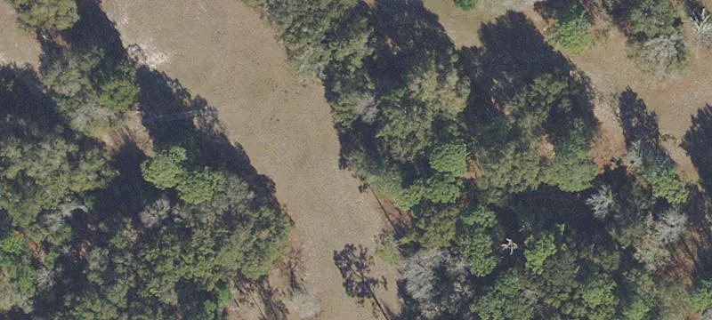 Ocala, FL 34481