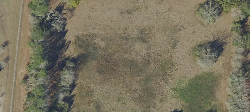 Bonifay, FL 32425