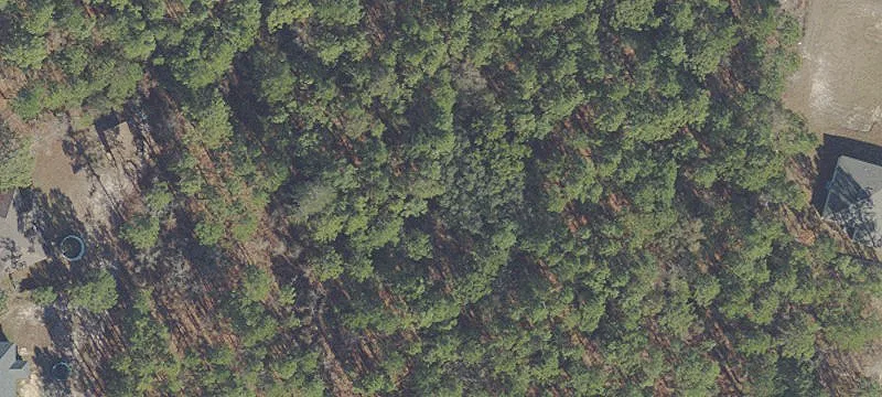 Ocala, FL 34473