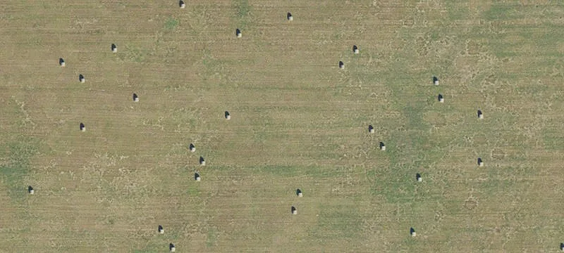 High Springs, FL 32643