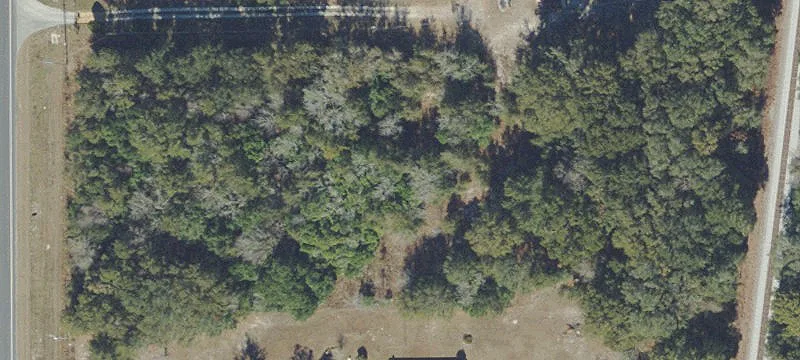 Summerfield, FL 34491