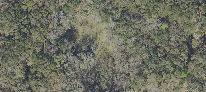 Citra, FL 32113