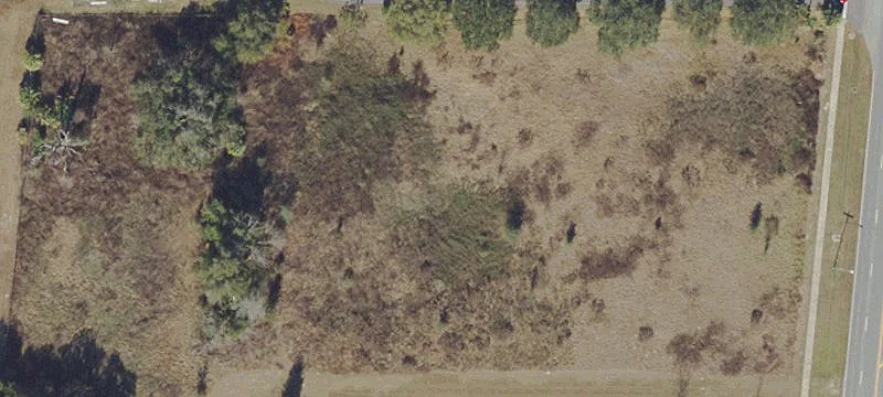 Bushnell, FL 33513