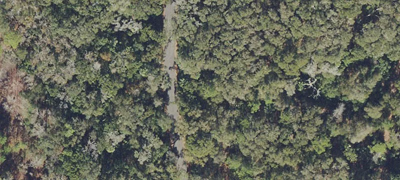 Boy Scout Rd