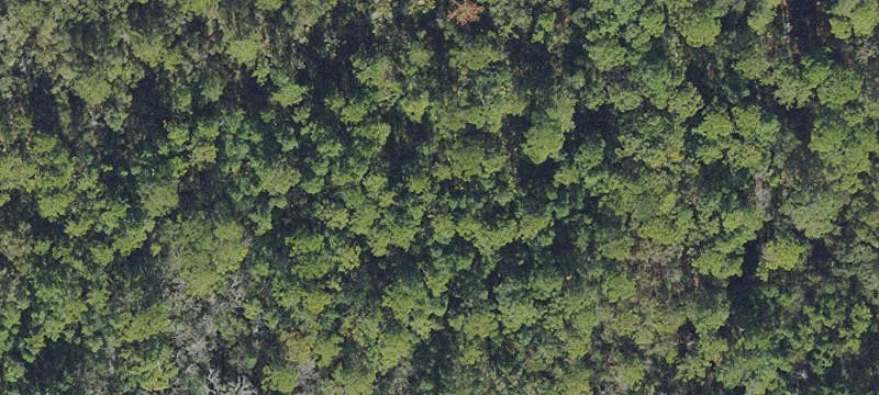 Bunnell, FL 32110