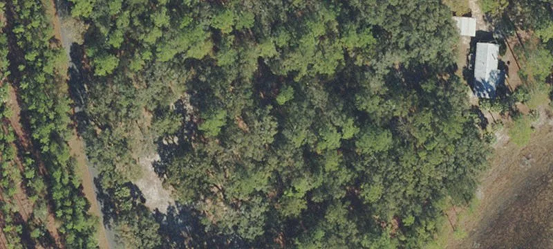 Silver Springs, FL 34488