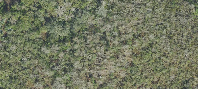 Cocoa, FL 32926