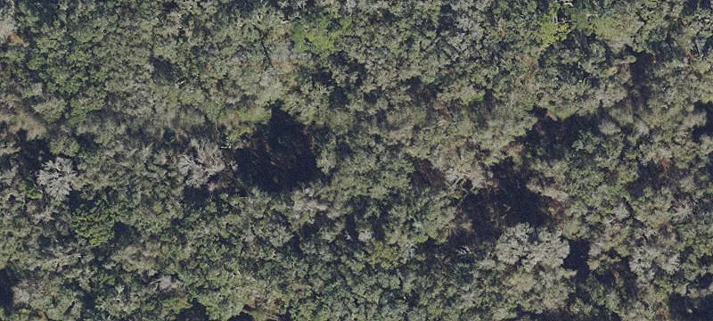 Gainesville, FL 32653