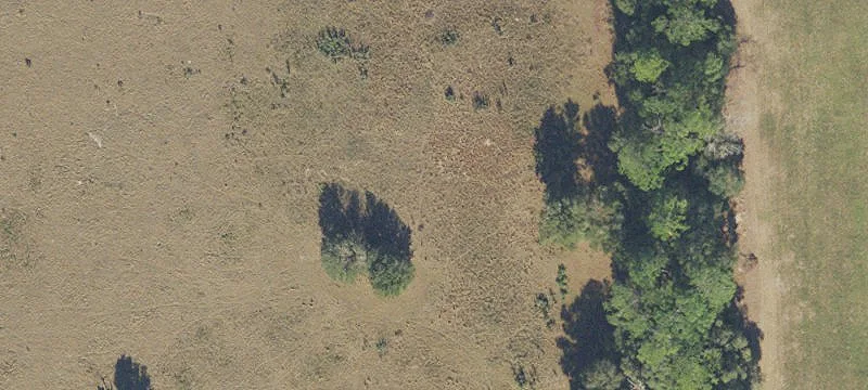 High Springs, FL 32643