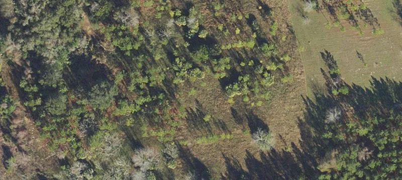 Chiefland, FL 32626