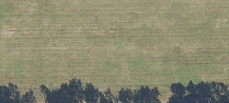 Newberry, FL 32669