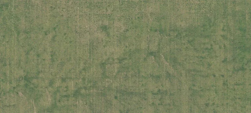 High Springs, FL 32643