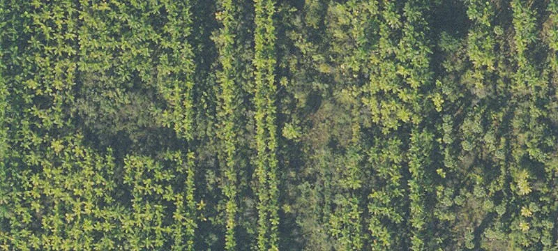 Florida City, FL 33034