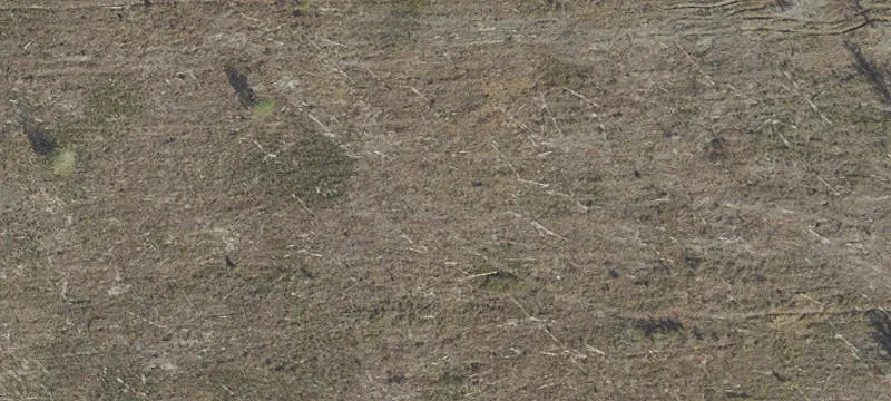 Bristol, FL 32321