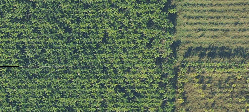 Florida City, FL 33034