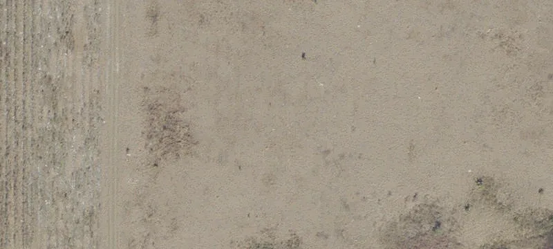Hawthorne, FL 32640