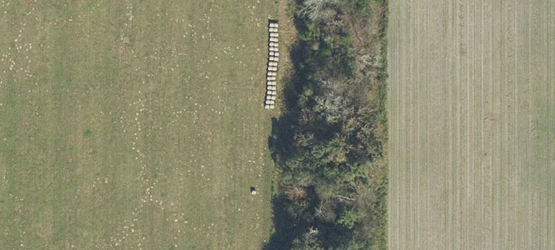 Newberry, FL 32669