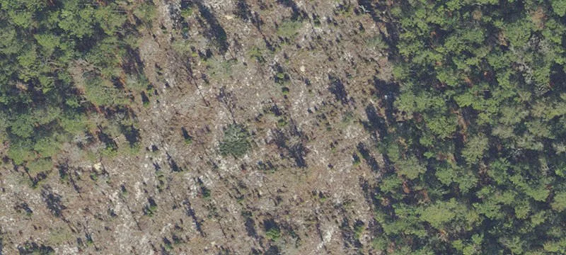 Ocala, FL 34481