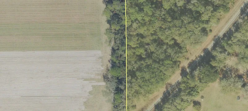 Palatka, FL 32177