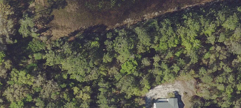 Silver Springs, FL 34488