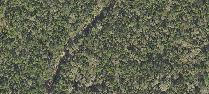 Milton, FL 32583