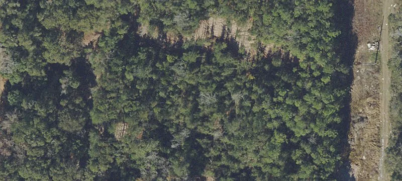 Ocala, FL 34480