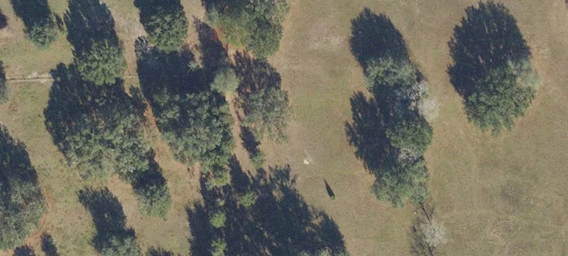 Alachua, FL 32615