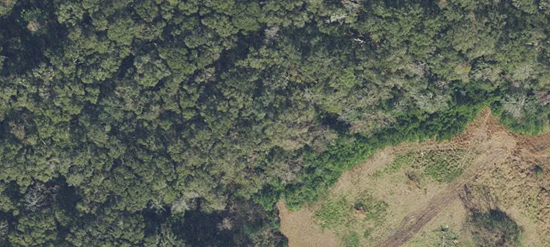 High Springs, FL 32643
