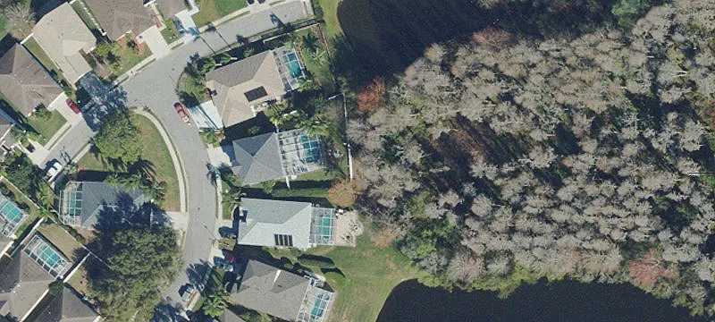Trinity, FL 34655