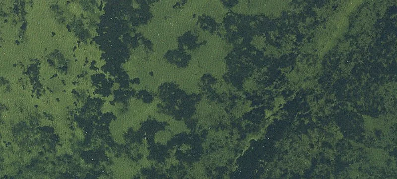 Hudson, FL 34667