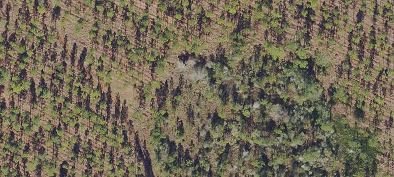 Sanderson, FL 32087